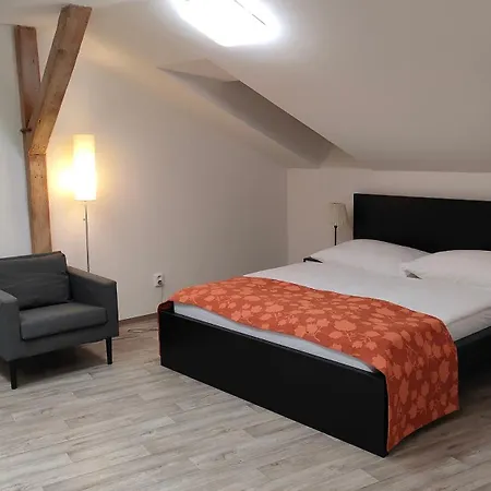 Symbiola Apartments Decin Exterior photo
